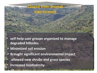 Watershed management experiences in Amhara Region, Ethiopia