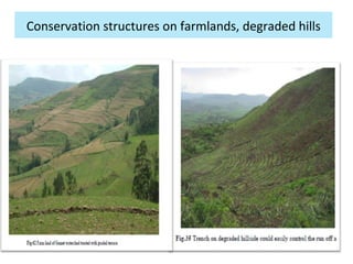Watershed management experiences in Amhara Region, Ethiopia