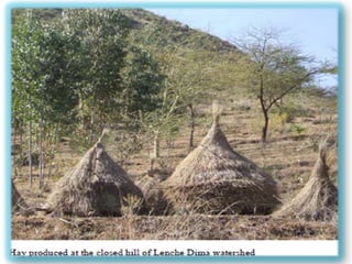 Watershed management experiences in Amhara Region, Ethiopia