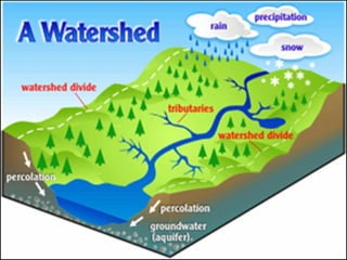 Watershed management experiences in Amhara Region, Ethiopia