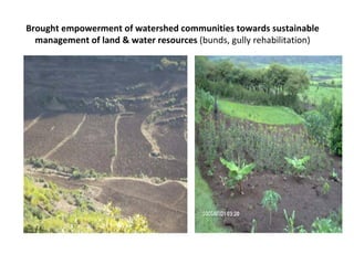 Watershed management experiences in Amhara Region, Ethiopia