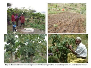 Watershed management experiences in Amhara Region, Ethiopia