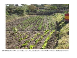 Watershed management experiences in Amhara Region, Ethiopia