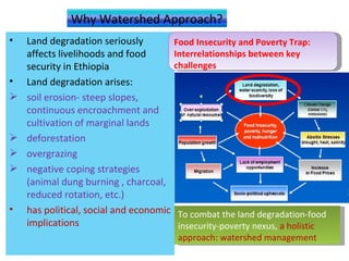 Watershed management experiences in Amhara Region, Ethiopia