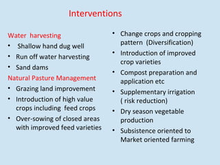Watershed management experiences in Amhara Region, Ethiopia