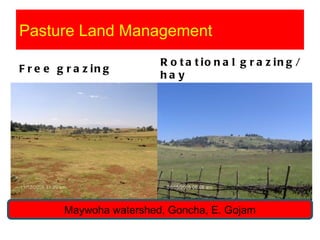 Watershed management experiences in Amhara Region, Ethiopia