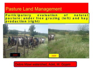 Watershed management experiences in Amhara Region, Ethiopia