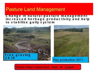 Watershed management experiences in Amhara Region, Ethiopia