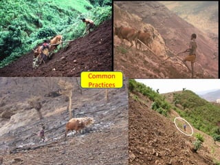 Watershed management experiences in Amhara Region, Ethiopia