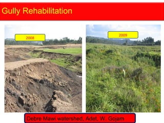 Watershed management experiences in Amhara Region, Ethiopia