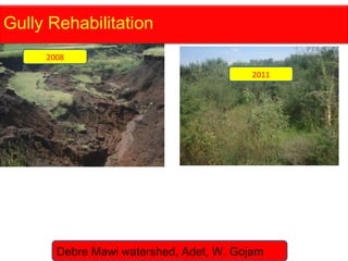 Watershed management experiences in Amhara Region, Ethiopia