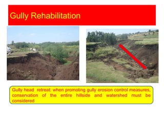 Watershed management experiences in Amhara Region, Ethiopia