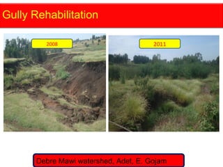 Watershed management experiences in Amhara Region, Ethiopia