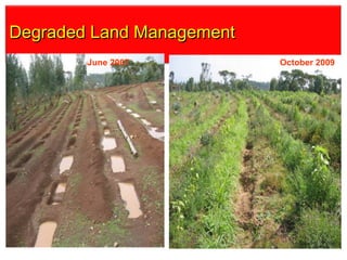 Watershed management experiences in Amhara Region, Ethiopia
