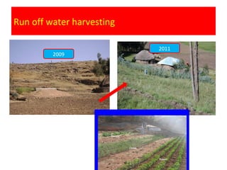 Watershed management experiences in Amhara Region, Ethiopia