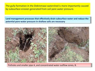 Watershed management experiences in Amhara Region, Ethiopia