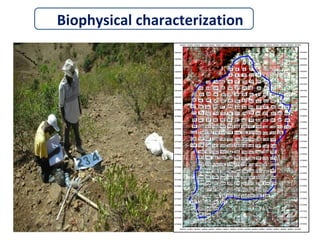 Watershed management experiences in Amhara Region, Ethiopia