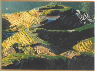 Watershed management experiences in Amhara Region, Ethiopia