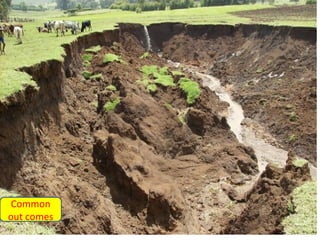 Watershed management experiences in Amhara Region, Ethiopia