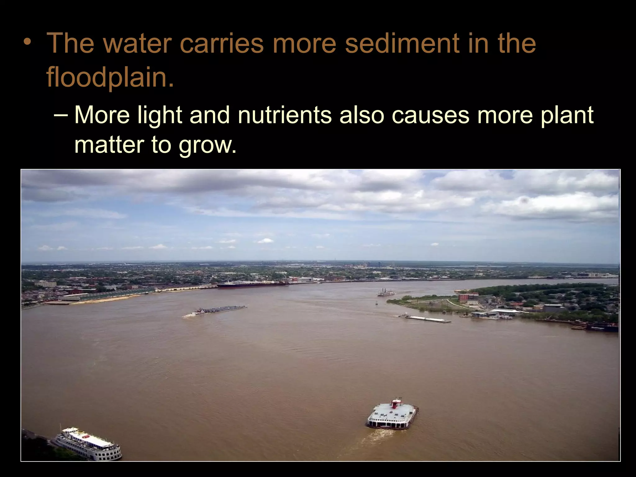 • The water carries more sediment in the
floodplain.
– More light and nutrients also causes more plant
matter to grow.
 
