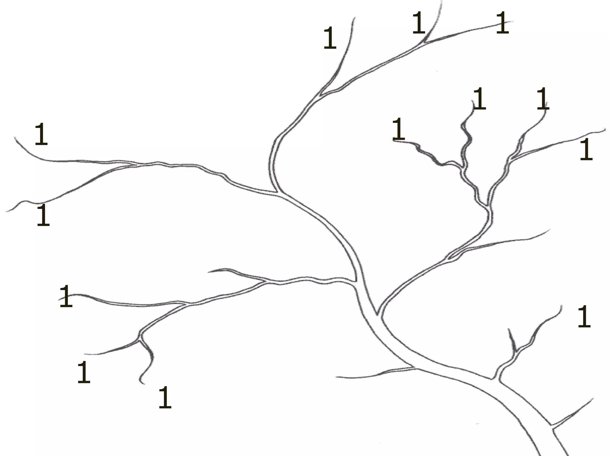 1
1
1
1
1
1
1
1
1
1 1
1 1
 