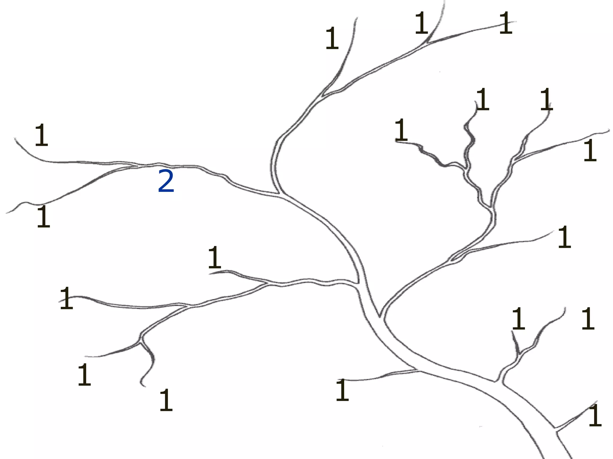 1
1
1
1
1
1
1
1
1
1
1 1
1
1
1 1
1 1
2
 