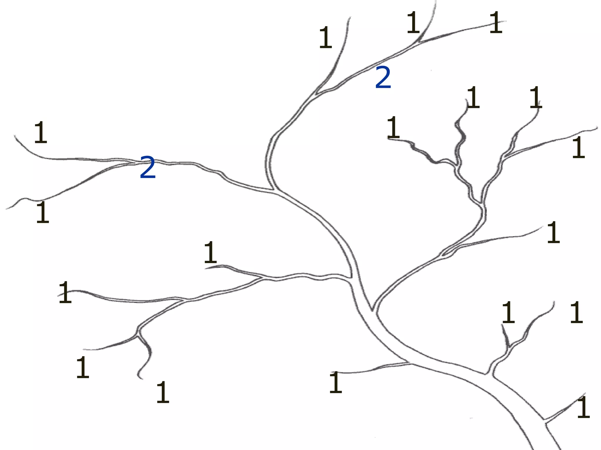 1
1
1
1
1
1
1
1
1
1
1 1
1
1
1 1
1 1
2
2
 