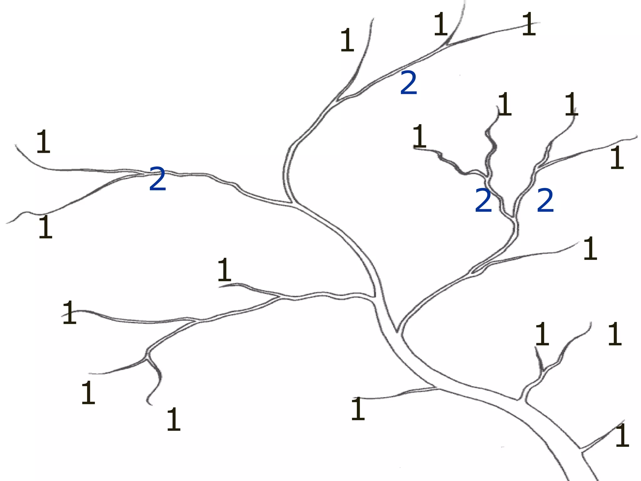 1
1
1
1
1
1
1
1
1
1
1 1
1
1
1 1
1 1
2
2
2 2
2
 