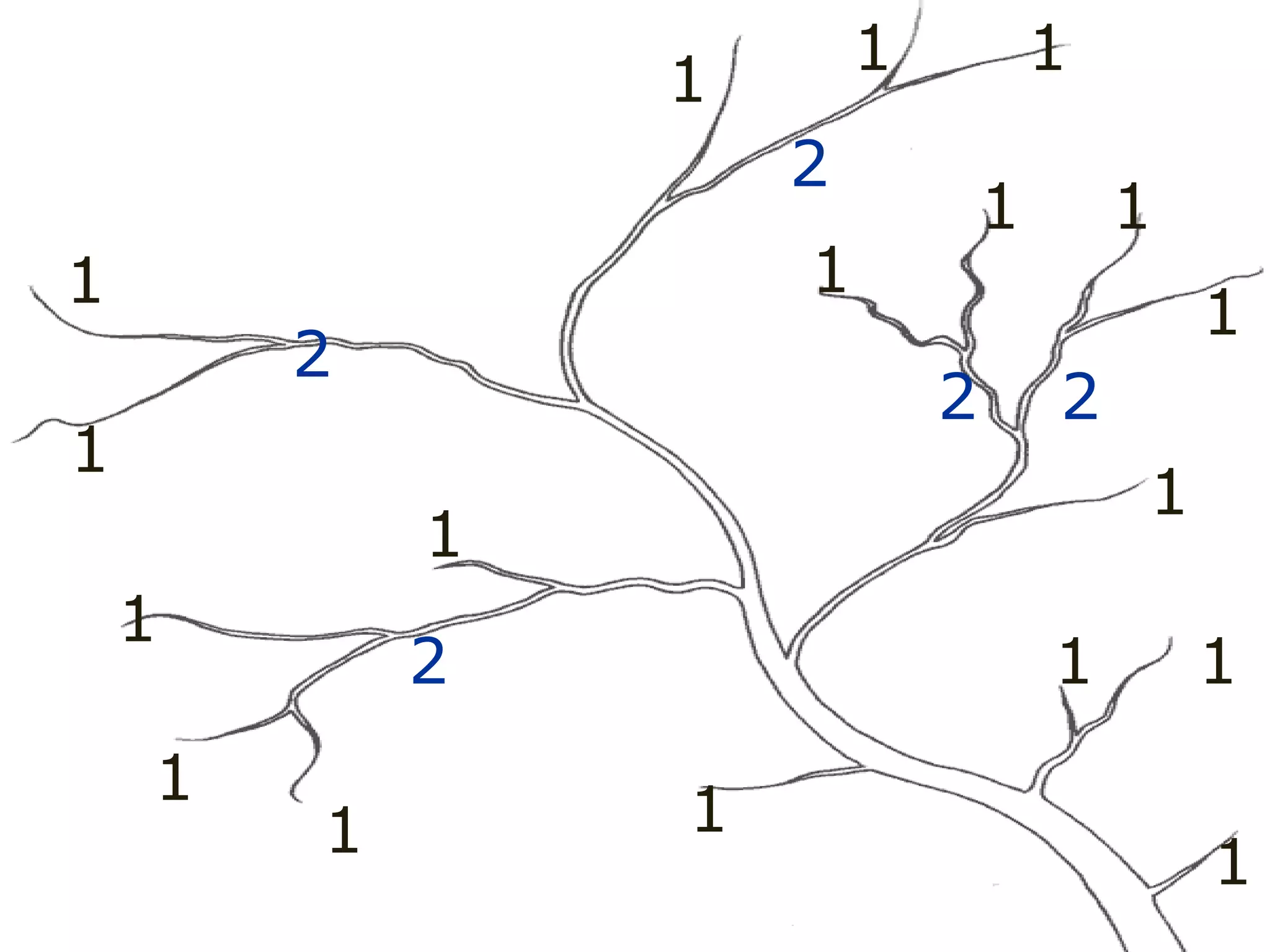 1
1
1
1
1
1
1
1
1
1
1 1
1
1
1 1
1 1
2
2
2 2
2
2
 