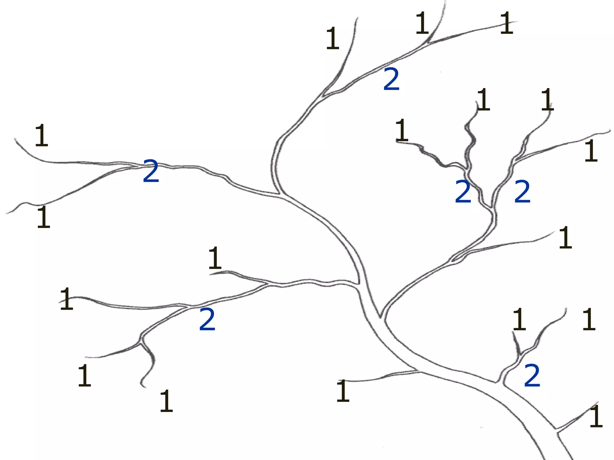 1
1
1
1
1
1
1
1
1
1
1 1
1
1
1 1
1 1
2
2
2 2
2
2
2
 