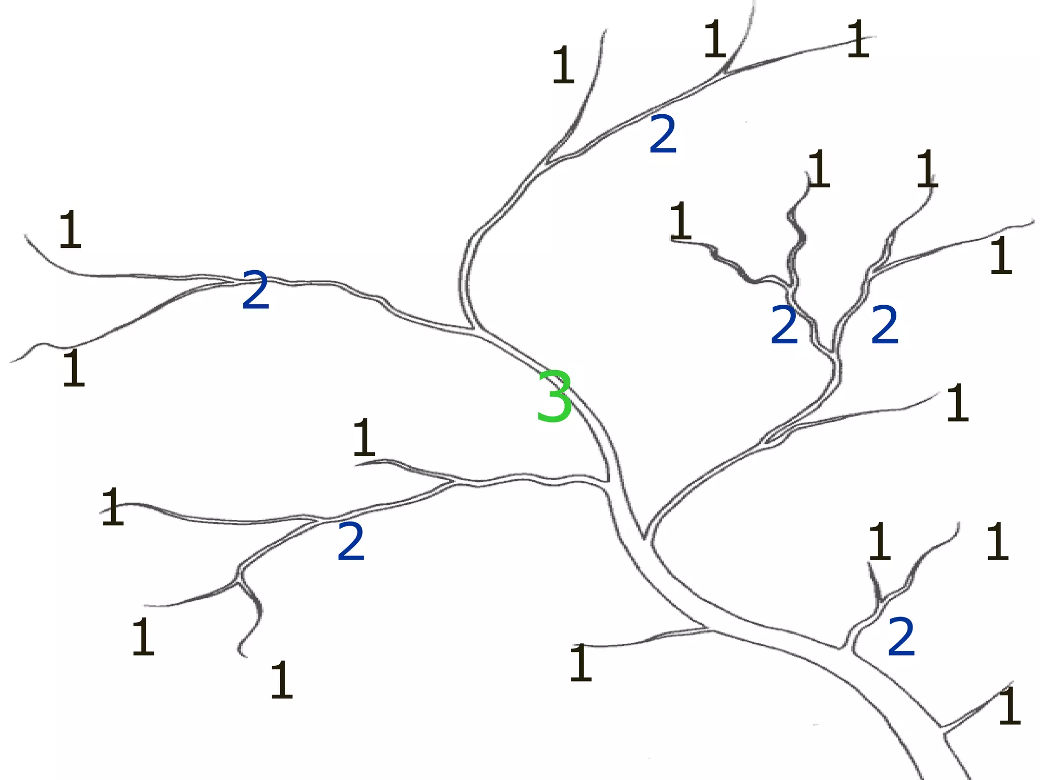 1
1
1
1
1
1
1
1
1
1
1 1
1
1
1 1
1 1
2
2
2 2
2
2
2
3
 