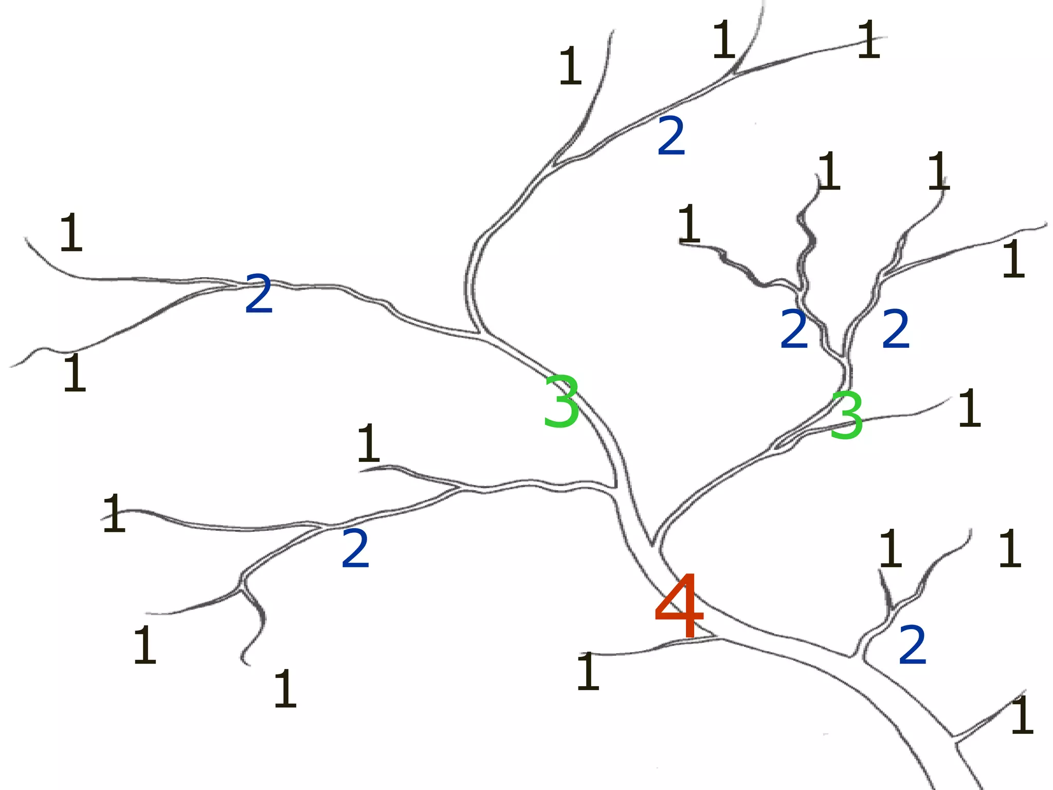 1
1
1
1
1
1
1
1
1
1
1 1
1
1
1 1
1 1
2
2
2 2
2
2
2
3 3
4
 