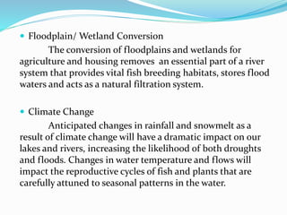  Floodplain/ Wetland Conversion
The conversion of floodplains and wetlands for
agriculture and housing removes an essential part of a river
system that provides vital fish breeding habitats, stores flood
waters and acts as a natural filtration system.
 Climate Change
Anticipated changes in rainfall and snowmelt as a
result of climate change will have a dramatic impact on our
lakes and rivers, increasing the likelihood of both droughts
and floods. Changes in water temperature and flows will
impact the reproductive cycles of fish and plants that are
carefully attuned to seasonal patterns in the water.
 
