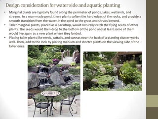Design consideration for water side and aquatic planting
•    Marginal plants are typically found along the perimeter of ponds, lakes, wetlands, and
     streams. In a man-made pond, these plants soften the hard edges of the rocks, and provide a
     smooth transition from the water in the pond to the grass and shrubs beyond.
•    Taller marginal plants, placed as a backdrop, would naturally catch the flying seeds of other
     plants. The seeds would then drop to the bottom of the pond and at least some of them
     would live again as a new plant where they landed.
•    Placing taller plants like reeds, cattails, and cannas near the back of a planting cluster works
     well. Then, add to the look by placing medium and shorter plants on the viewing side of the
     taller ones.
 