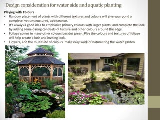 Design consideration for water side and aquatic planting
Playing with Colours
• Random placement of plants with different textures and colours will give your pond a
   complete, yet unstructured, appearance.
• It’s always a good idea to emphasize primary colours with larger plants, and complete the look
   by adding some daring contrasts of texture and other colours around the edge.
• Foliage comes in many other colours besides green. Play the colours and textures of foliage
   will help create a lush and inviting look.
• Flowers, and the multitude of colours make easy work of naturalizing the water garden
 