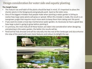 Design consideration for water side and aquatic planting
The Height Factor
• The mature size and habit of the plants should be kept in mind. it’s important to place the
   shorter plants in the foreground and gradually work back to the taller ones.
• One of the biggest mistakes that people make when planting a water garden is failing to
   realize how large some plants will grow or spread. When this mistake is made, the result is an
   overgrown jungle that requires much more work to keep them from taking over the pond.
• If you want to create a truly low-maintenance water garden, its necessary to have a good idea
   how large a plant is going to grow before planting it.
• In summary, the more fully all of these factors are taken into consideration when designing
   and planting in the water garden, the better the results will be.
• Pond will be fully dressed and will tie naturally into the rest of the landscape and also enhance
   the view of the pond with even more features and colours to delight the eye.
 