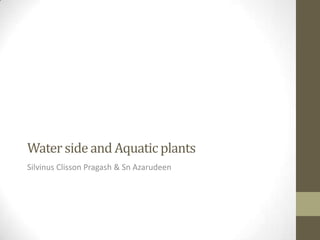 Water side and Aquatic plants
Silvinus Clisson Pragash & Sn Azarudeen
 