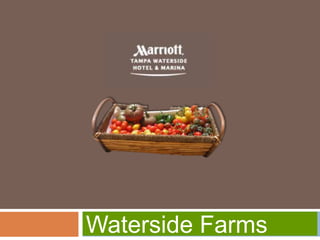 Waterside Farms
 