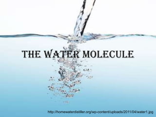 The Water Molecule http://homewaterdistiller.org/wp-content/uploads/2011/04/water1.jpg 