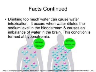 70% of an adult's body is water