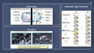 37
Chlorination
Ozonation
Ultraviolet Light Treatment
INTRODU
Slide 2
Water Disinfection byU
U
ge
di
ca
A
A
th
ab
tr
th
Principles	&	Mechanisms:	
Chlorine	 destroys	 microorganisms	 by	 corroding	 the	 cell	 membrane.	 It	 is	 then	 capable	 of	
penetrating	 and	 destroying	 the	 cells	 after	 the	 membrane	 is	 weakened,	 by	 disrupting	
respiration	 and	 DNA	 activity.	 This	 results	 in	 the	 microorganisms	 unable	 to	 multiply	 and	
eventually	die.	
What	it	can	remove:	
Chlorine	 treatment	 is	 effective	 against	 bacteria	 and	 viruses,	 but	 not	 all	 water-borne	
pathogens.	Certain	protozoa	cysts	(Giardia	and	Cryptosporidium)	have	developed	resistance	
to	chlorine.	The	mentioned	protozoa	can	be	removed	with	other	disinfectant	such	as	ozone	
and	chlorine	dioxide.	Chlorine-based	disinfectants	can	also	remove	micro-pollutants	such	as	
pesticides.	
Advantages:	
• More	cost-effective	than	UV	or	ozone	treatment	
• Presence	of	disinfectant	residual	in	the	effluent	that	prolong	disinfection	
• Can	oxidize	certain	organic	and	inorganic	compounds	
• Dosage	of	chlorine	is	flexible	and	customizable	
Limitations:	
• Chlorine	disinfectant	residual	is	toxic	to	aquatic	life	
• Additional	dechlorination	step	to	remove	residual	
• Highly	corrosive	and	therefore	poses	risk	in	handling	
• By-products	from	oxidation	may	create	more	harmful	compounds	
• Total	dissolved	solids	increase	after	treatment	
Literature	Search	(Week	1)	–	Water	Disinfection	
Ee	Liang	Ying	
	
Ozone Treatment
What	it	is:	
Ozone	 is	 a	 very	 strong	 oxidizing	 agent	 and	 is	 unstable	 in	 its	 form,	 therefore	 it	 must	 be	
generated	on-site	that	involves	passing	dry	air	through	high-voltage	electrical	discharge	or	by	
UV	radiation.	It	can	also	be	generated	with	electrolytic	and	chemical	reactions.	This	treatment	
method	 can	 be	 used	 at	 various	 points	 of	 the	 whole	 treatment	 system,	 but	 usually	 pre-
filtration	stage.	
Principles	&	Mechanisms:	
Due	to	its	high	oxidation	potential,	ozone	can	easily	disintegrate	the	cell	wall	(process	known	
as	lysis)	of	the	microorganisms	by	dissociating	the	double	bonds	of	the	fatty	acids	in	the	cell	
wall.	Thereafter,	the	ozone	continues	to	oxidize	enzymes	and	DNA	within	the	cell	and	finally	
destroying	it.	
	
What	it	can	remove:	
Ozone	is	a	broad	range	biocide	that	can	inactivate	all	pathogenic	organisms	including	bacteria,	
viruses	and	protozoa.	It	can	also	remove	certain	heavy	metals,	organic	and	inorganic	matter,	
 