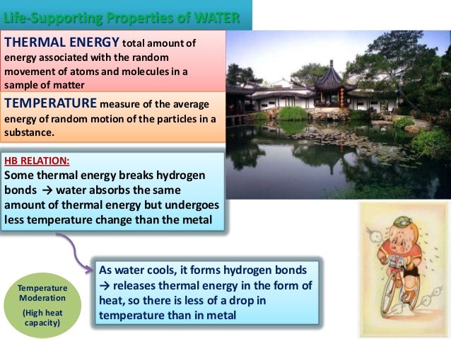 Water’s life supporting properties