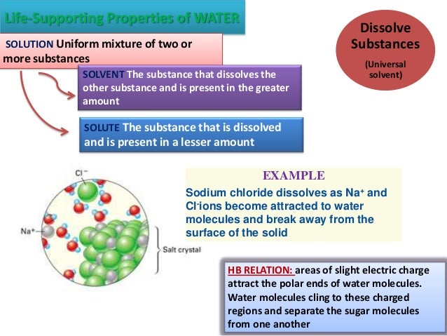 Water’s life supporting properties