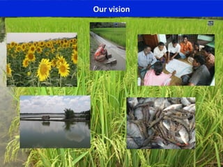1	
  
Our	
  vision	
  
 