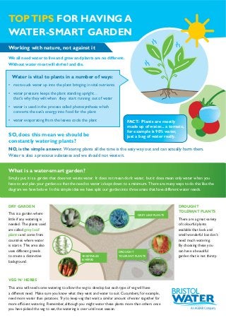 TOP TIPS FOR HAVING A
WATER-SMART GARDEN
Working with nature, not against it
We all need water to live and grow and plants are no different.
Without water most will shrivel and die.

  Water is vital to plants in a number of ways:
• roots suck water up into the plant bringing in vital nutrients

• water pressure keeps the plant standing upright…
  that’s why they wilt when they start running out of water
• water is used in the process called photosynthesis which
  converts the sun’s energy into food for the plant
• water evaporating from the leaves cools the plant                       FACT: Plants are mostly
                                                                          made up of water... a tomato,
                                                                          for example is 90% water,
SO, does this mean we should be                                           just a bag of water really.
constantly watering plants?
NO, is the simple answer. Watering plants all the time is the easy way out and can actually harm them.
Water is also a precious substance and we should not waste it.


What is a water-smart garden?
Simply put, it is a garden that does not waste water. It does not mean don’t water, but it does mean only water when you
have to and plan your garden so that the need to water is kept down to a minimum. There are many ways to do this like the
diagram we have below. In this simple idea we have split our garden into three areas that have different water needs.


DRY GARDEN                                                                                          DROUGHT
                                                                                                    TOLERANT PLANTS
This is a garden where                                                          GREY LEAF PLANTS
little if any watering is                                                                           There are a great variety
needed. The plants used                                                                             of colourful plants
are called grey leaf                                                                                available that look and
plants and come from                                                                                smell wonderful but don’t
countries where water                                                                               need much watering.
is scarce. This area also                                                                           By choosing these you
uses different gravels                                              DROUGHT                         can have a beautiful
to create a distinctive                      VEGETABLES             TOLERANT PLANTS                 garden that is not thirsty.
                                             & HERBS
background.



VEG ‘N’ HERBS
This area will need some watering to allow the veg to develop but each type of veg will have
a different need. Make sure you know what they want and water to suit. Cucumbers, for example,
need more water than potatoes. Try to keep veg that want a similar amount of water together for
more efﬁcient watering. Remember, although you might water these plants more than others once
you have picked the veg to eat, the watering is over until next season.
 
