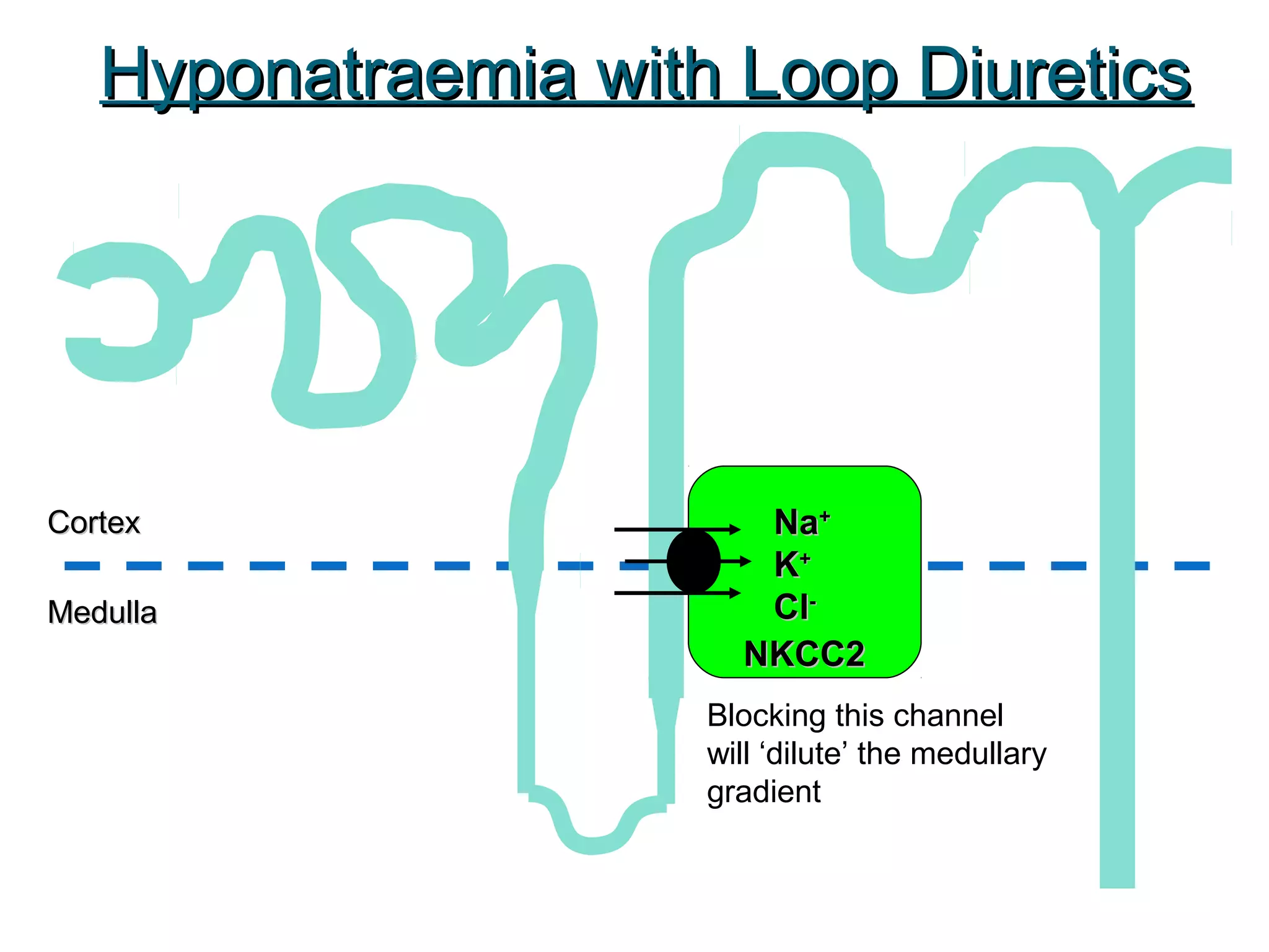 CortexCortex
MedullaMedulla
NaNa++
KK++
ClCl--
NKCC2NKCC2
Hyponatraemia with Loop DiureticsHyponatraemia with Loop Diuretics
Blocking this channel
will ‘dilute’ the medullary
gradient
 