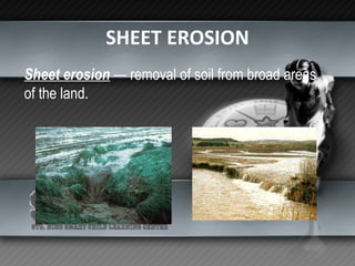 SHEET EROSION Sheet erosion  — removal of soil from broad areas of the land. 