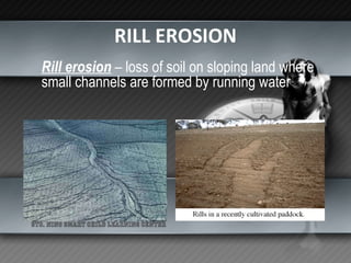 RILL EROSION Rill erosion  – loss of soil on sloping land where small channels are formed by running water 