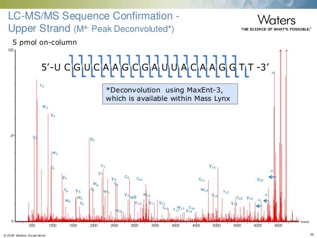 waters oligonucleotide analysis solutions