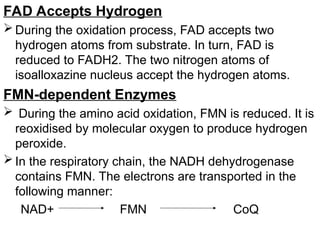 FAD Accepts Hydrogen
 During the oxidation process, FAD accepts two
hydrogen atoms from substrate. In turn, FAD is
reduced to FADH2. The two nitrogen atoms of
isoalloxazine nucleus accept the hydrogen atoms.
FMN-dependent Enzymes
 During the amino acid oxidation, FMN is reduced. It is
reoxidised by molecular oxygen to produce hydrogen
peroxide.
 In the respiratory chain, the NADH dehydrogenase
contains FMN. The electrons are transported in the
following manner:
NAD+ FMN CoQ
 